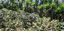 20190421_190741.webp