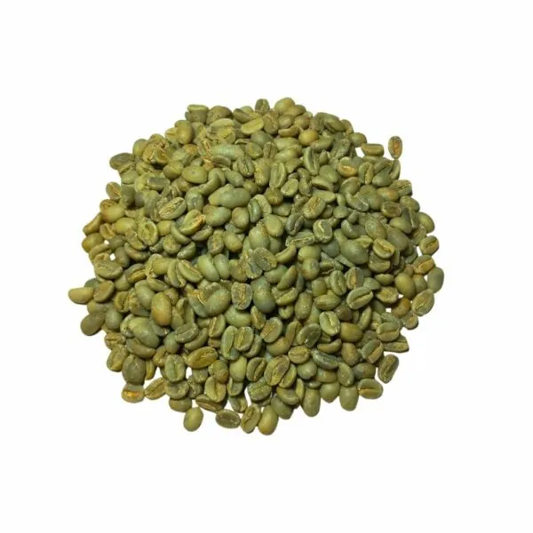 CAFÉ VERT | ETHIOPIE | Moka Sidamo