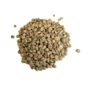 CAFÉ VERT | GUATEMALA | Huehue