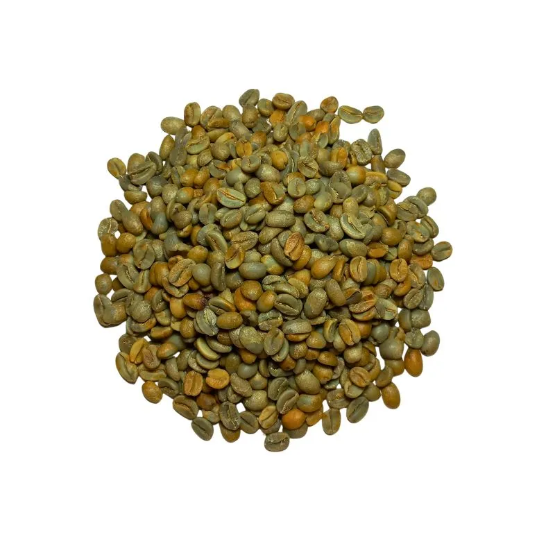 CAFÉ VERT | GUATEMALA | Honey