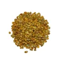 CAFÉ VERT | ETHIOPIE | Yirgacheffe | Nature