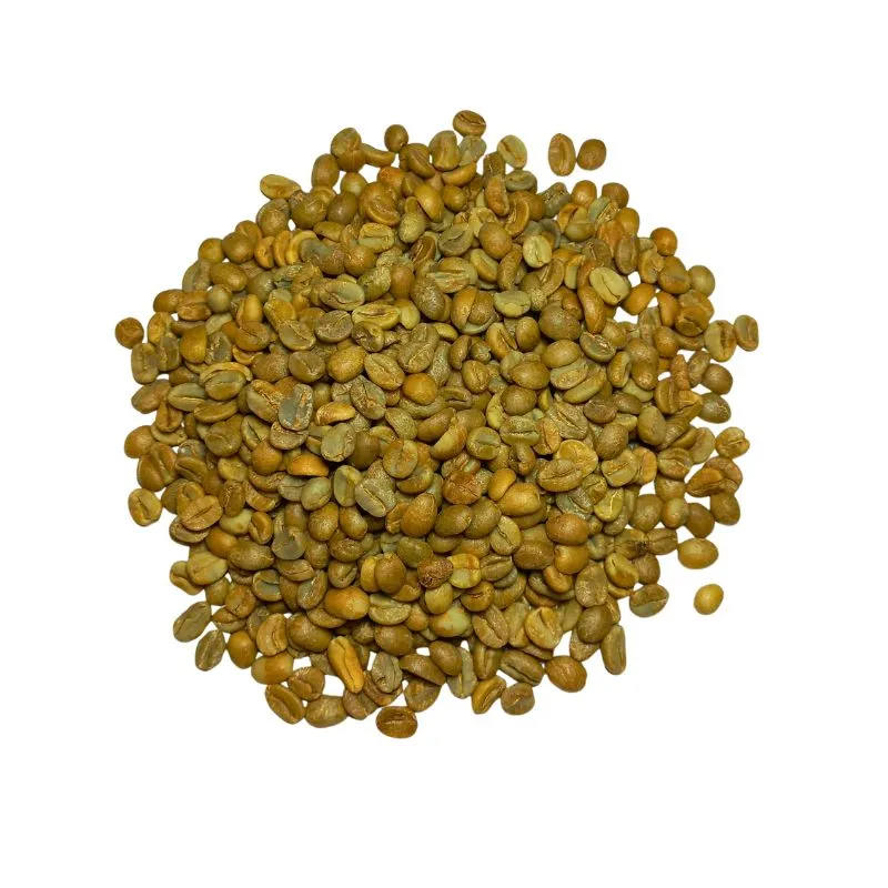 CAFÉ VERT | PEROU | Geisha | Anaérobie