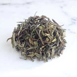 THE VERT | Menthe Douce