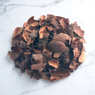 INFUSION | Écorces de cacao