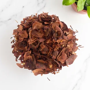 INFUSION | Écorces de cacao au piment